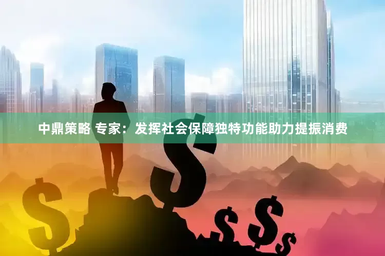 中鼎策略 专家：发挥社会保障独特功能助力提振消费