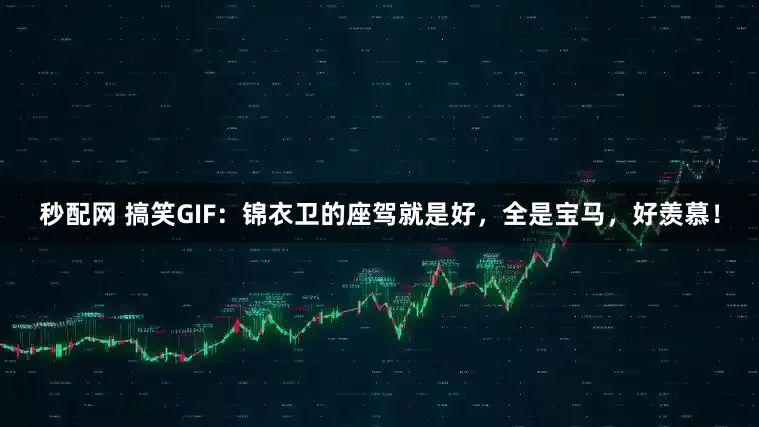 秒配网 搞笑GIF：锦衣卫的座驾就是好，全是宝马，好羡慕！